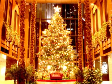 beautiful_christmas_tree_pictures_18